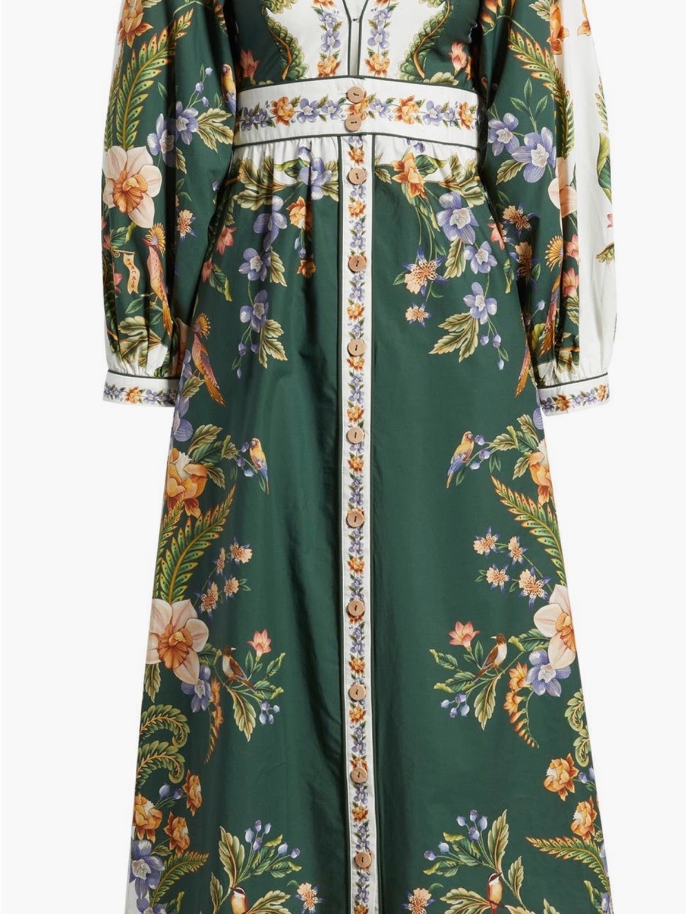 FARM Rio
Nature Green Long Sleeve Floral Maxi
Dress Size - S - Picture 4 of 9